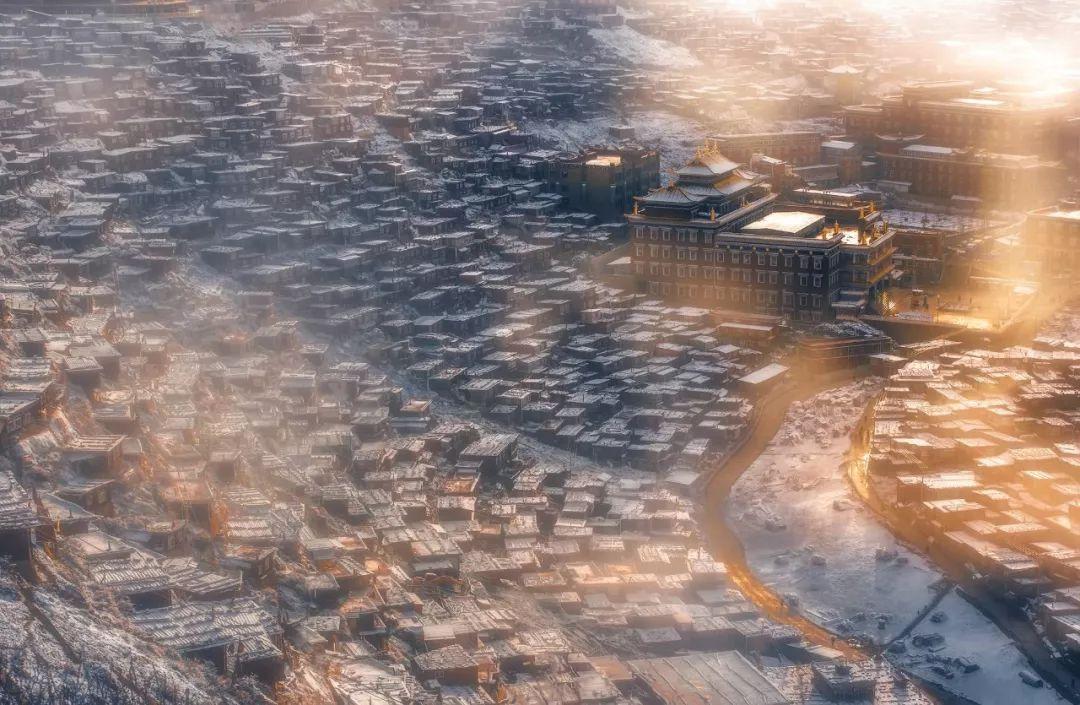 粤黔协作 | 打造“清远总部+贵州基地” 西牛麻竹笋入黔联销